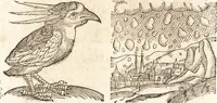 Picture 293 of 990 from Prodigiorvm ac ostentorvm chronicon : quae praeter naturae ordinem, motum, et operationem, et in svperioribus & his inferioribus mundi regionibus, ab exordio mundi usque ad haec nostra tempora, acciderunt ... (1557), leaf 185
