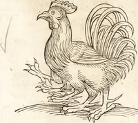 Picture 299 of 990 from Prodigiorvm ac ostentorvm chronicon : quae praeter naturae ordinem, motum, et operationem, et in svperioribus & his inferioribus mundi regionibus, ab exordio mundi usque ad haec nostra tempora, acciderunt ... (1557), leaf 188