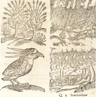 Picture 301 of 990 from Prodigiorvm ac ostentorvm chronicon : quae praeter naturae ordinem, motum, et operationem, et in svperioribus & his inferioribus mundi regionibus, ab exordio mundi usque ad haec nostra tempora, acciderunt ... (1557), leaf 190