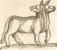 An illustration from Prodigiorvm ac ostentorvm chronicon : quae praeter naturae ordinem, motum, et operationem, et in svperioribus & his inferioribus mundi regionibus, ab exordio mundi usque ad haec nostra tempora, acciderunt ... (1557)