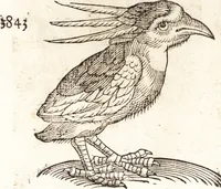 Picture 306 of 990 from Prodigiorvm ac ostentorvm chronicon : quae praeter naturae ordinem, motum, et operationem, et in svperioribus & his inferioribus mundi regionibus, ab exordio mundi usque ad haec nostra tempora, acciderunt ... (1557), leaf 192