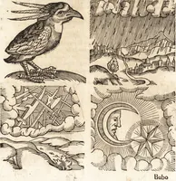 Picture 316 of 990 from Prodigiorvm ac ostentorvm chronicon : quae praeter naturae ordinem, motum, et operationem, et in svperioribus & his inferioribus mundi regionibus, ab exordio mundi usque ad haec nostra tempora, acciderunt ... (1557), leaf 199
