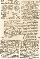 Picture 318 of 990 from Prodigiorvm ac ostentorvm chronicon : quae praeter naturae ordinem, motum, et operationem, et in svperioribus & his inferioribus mundi regionibus, ab exordio mundi usque ad haec nostra tempora, acciderunt ... (1557), leaf 201