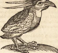 Picture 323 of 990 from Prodigiorvm ac ostentorvm chronicon : quae praeter naturae ordinem, motum, et operationem, et in svperioribus & his inferioribus mundi regionibus, ab exordio mundi usque ad haec nostra tempora, acciderunt ... (1557), leaf 205