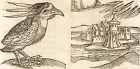 Picture 326 of 990 from Prodigiorvm ac ostentorvm chronicon : quae praeter naturae ordinem, motum, et operationem, et in svperioribus & his inferioribus mundi regionibus, ab exordio mundi usque ad haec nostra tempora, acciderunt ... (1557), leaf 206