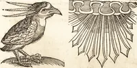 Picture 329 of 990 from Prodigiorvm ac ostentorvm chronicon : quae praeter naturae ordinem, motum, et operationem, et in svperioribus & his inferioribus mundi regionibus, ab exordio mundi usque ad haec nostra tempora, acciderunt ... (1557), leaf 208