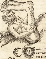 Picture 15 of 990 from Prodigiorvm ac ostentorvm chronicon : quae praeter naturae ordinem, motum, et operationem, et in svperioribus & his inferioribus mundi regionibus, ab exordio mundi usque ad haec nostra tempora, acciderunt ... (1557), leaf 21