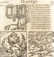 Picture 335 of 990 from Prodigiorvm ac ostentorvm chronicon : quae praeter naturae ordinem, motum, et operationem, et in svperioribus & his inferioribus mundi regionibus, ab exordio mundi usque ad haec nostra tempora, acciderunt ... (1557), leaf 211