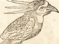 An illustration from Prodigiorvm ac ostentorvm chronicon : quae praeter naturae ordinem, motum, et operationem, et in svperioribus & his inferioribus mundi regionibus, ab exordio mundi usque ad haec nostra tempora, acciderunt ... (1557)