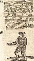 Picture 346 of 990 from Prodigiorvm ac ostentorvm chronicon : quae praeter naturae ordinem, motum, et operationem, et in svperioribus & his inferioribus mundi regionibus, ab exordio mundi usque ad haec nostra tempora, acciderunt ... (1557), leaf 219
