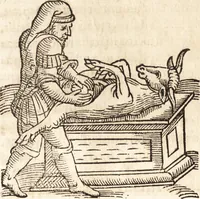 Picture 348 of 990 from Prodigiorvm ac ostentorvm chronicon : quae praeter naturae ordinem, motum, et operationem, et in svperioribus & his inferioribus mundi regionibus, ab exordio mundi usque ad haec nostra tempora, acciderunt ... (1557), leaf 220