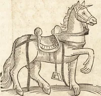 Picture 354 of 990 from Prodigiorvm ac ostentorvm chronicon : quae praeter naturae ordinem, motum, et operationem, et in svperioribus & his inferioribus mundi regionibus, ab exordio mundi usque ad haec nostra tempora, acciderunt ... (1557), leaf 225
