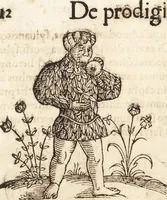 Picture 20 of 990 from Prodigiorvm ac ostentorvm chronicon : quae praeter naturae ordinem, motum, et operationem, et in svperioribus & his inferioribus mundi regionibus, ab exordio mundi usque ad haec nostra tempora, acciderunt ... (1557), leaf 23