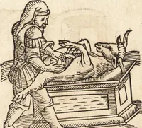 Picture 374 of 990 from Prodigiorvm ac ostentorvm chronicon : quae praeter naturae ordinem, motum, et operationem, et in svperioribus & his inferioribus mundi regionibus, ab exordio mundi usque ad haec nostra tempora, acciderunt ... (1557), leaf 239