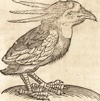 Picture 376 of 990 from Prodigiorvm ac ostentorvm chronicon : quae praeter naturae ordinem, motum, et operationem, et in svperioribus & his inferioribus mundi regionibus, ab exordio mundi usque ad haec nostra tempora, acciderunt ... (1557), leaf 240