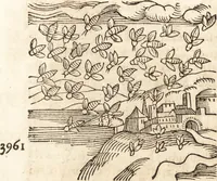 Picture 389 of 990 from Prodigiorvm ac ostentorvm chronicon : quae praeter naturae ordinem, motum, et operationem, et in svperioribus & his inferioribus mundi regionibus, ab exordio mundi usque ad haec nostra tempora, acciderunt ... (1557), leaf 248