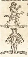 Picture 25 of 990 from Prodigiorvm ac ostentorvm chronicon : quae praeter naturae ordinem, motum, et operationem, et in svperioribus & his inferioribus mundi regionibus, ab exordio mundi usque ad haec nostra tempora, acciderunt ... (1557), leaf 25