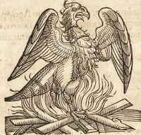 Picture 399 of 990 from Prodigiorvm ac ostentorvm chronicon : quae praeter naturae ordinem, motum, et operationem, et in svperioribus & his inferioribus mundi regionibus, ab exordio mundi usque ad haec nostra tempora, acciderunt ... (1557), leaf 257