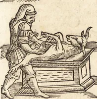 An illustration from Prodigiorvm ac ostentorvm chronicon : quae praeter naturae ordinem, motum, et operationem, et in svperioribus & his inferioribus mundi regionibus, ab exordio mundi usque ad haec nostra tempora, acciderunt ... (1557)