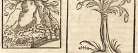 Picture 412 of 990 from Prodigiorvm ac ostentorvm chronicon : quae praeter naturae ordinem, motum, et operationem, et in svperioribus & his inferioribus mundi regionibus, ab exordio mundi usque ad haec nostra tempora, acciderunt ... (1557), leaf 267