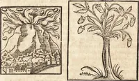 Picture 413 of 990 from Prodigiorvm ac ostentorvm chronicon : quae praeter naturae ordinem, motum, et operationem, et in svperioribus & his inferioribus mundi regionibus, ab exordio mundi usque ad haec nostra tempora, acciderunt ... (1557), leaf 267