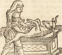 Picture 439 of 990 from Prodigiorvm ac ostentorvm chronicon : quae praeter naturae ordinem, motum, et operationem, et in svperioribus & his inferioribus mundi regionibus, ab exordio mundi usque ad haec nostra tempora, acciderunt ... (1557), leaf 288