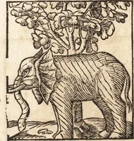 An illustration from Prodigiorvm ac ostentorvm chronicon : quae praeter naturae ordinem, motum, et operationem, et in svperioribus & his inferioribus mundi regionibus, ab exordio mundi usque ad haec nostra tempora, acciderunt ... (1557)