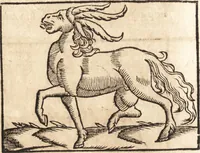 An illustration from Prodigiorvm ac ostentorvm chronicon : quae praeter naturae ordinem, motum, et operationem, et in svperioribus & his inferioribus mundi regionibus, ab exordio mundi usque ad haec nostra tempora, acciderunt ... (1557)