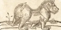 An illustration from Prodigiorvm ac ostentorvm chronicon : quae praeter naturae ordinem, motum, et operationem, et in svperioribus & his inferioribus mundi regionibus, ab exordio mundi usque ad haec nostra tempora, acciderunt ... (1557)