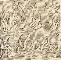Picture 455 of 990 from Prodigiorvm ac ostentorvm chronicon : quae praeter naturae ordinem, motum, et operationem, et in svperioribus & his inferioribus mundi regionibus, ab exordio mundi usque ad haec nostra tempora, acciderunt ... (1557), leaf 300