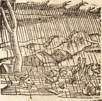 Picture 464 of 990 from Prodigiorvm ac ostentorvm chronicon : quae praeter naturae ordinem, motum, et operationem, et in svperioribus & his inferioribus mundi regionibus, ab exordio mundi usque ad haec nostra tempora, acciderunt ... (1557), leaf 307