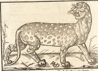 Picture 38 of 990 from Prodigiorvm ac ostentorvm chronicon : quae praeter naturae ordinem, motum, et operationem, et in svperioribus & his inferioribus mundi regionibus, ab exordio mundi usque ad haec nostra tempora, acciderunt ... (1557), leaf 31