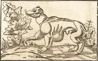 Picture 39 of 990 from Prodigiorvm ac ostentorvm chronicon : quae praeter naturae ordinem, motum, et operationem, et in svperioribus & his inferioribus mundi regionibus, ab exordio mundi usque ad haec nostra tempora, acciderunt ... (1557), leaf 32