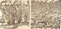 Picture 528 of 990 from Prodigiorvm ac ostentorvm chronicon : quae praeter naturae ordinem, motum, et operationem, et in svperioribus & his inferioribus mundi regionibus, ab exordio mundi usque ad haec nostra tempora, acciderunt ... (1557), leaf 356