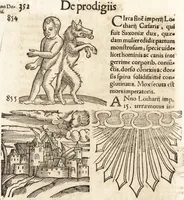 Picture 540 of 990 from Prodigiorvm ac ostentorvm chronicon : quae praeter naturae ordinem, motum, et operationem, et in svperioribus & his inferioribus mundi regionibus, ab exordio mundi usque ad haec nostra tempora, acciderunt ... (1557), leaf 363