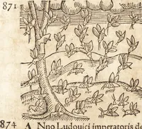 Picture 544 of 990 from Prodigiorvm ac ostentorvm chronicon : quae praeter naturae ordinem, motum, et operationem, et in svperioribus & his inferioribus mundi regionibus, ab exordio mundi usque ad haec nostra tempora, acciderunt ... (1557), leaf 367