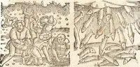 Picture 561 of 990 from Prodigiorvm ac ostentorvm chronicon : quae praeter naturae ordinem, motum, et operationem, et in svperioribus & his inferioribus mundi regionibus, ab exordio mundi usque ad haec nostra tempora, acciderunt ... (1557), leaf 378