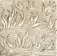 Picture 562 of 990 from Prodigiorvm ac ostentorvm chronicon : quae praeter naturae ordinem, motum, et operationem, et in svperioribus & his inferioribus mundi regionibus, ab exordio mundi usque ad haec nostra tempora, acciderunt ... (1557), leaf 378