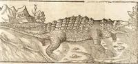 Picture 47 of 990 from Prodigiorvm ac ostentorvm chronicon : quae praeter naturae ordinem, motum, et operationem, et in svperioribus & his inferioribus mundi regionibus, ab exordio mundi usque ad haec nostra tempora, acciderunt ... (1557), leaf 38