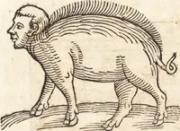 Picture 574 of 990 from Prodigiorvm ac ostentorvm chronicon : quae praeter naturae ordinem, motum, et operationem, et in svperioribus & his inferioribus mundi regionibus, ab exordio mundi usque ad haec nostra tempora, acciderunt ... (1557), leaf 385