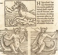 Picture 48 of 990 from Prodigiorvm ac ostentorvm chronicon : quae praeter naturae ordinem, motum, et operationem, et in svperioribus & his inferioribus mundi regionibus, ab exordio mundi usque ad haec nostra tempora, acciderunt ... (1557), leaf 39