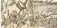 Picture 590 of 990 from Prodigiorvm ac ostentorvm chronicon : quae praeter naturae ordinem, motum, et operationem, et in svperioribus & his inferioribus mundi regionibus, ab exordio mundi usque ad haec nostra tempora, acciderunt ... (1557), leaf 396
