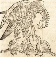 An illustration from Prodigiorvm ac ostentorvm chronicon : quae praeter naturae ordinem, motum, et operationem, et in svperioribus & his inferioribus mundi regionibus, ab exordio mundi usque ad haec nostra tempora, acciderunt ... (1557)