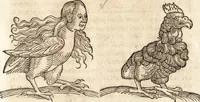 An illustration from Prodigiorvm ac ostentorvm chronicon : quae praeter naturae ordinem, motum, et operationem, et in svperioribus & his inferioribus mundi regionibus, ab exordio mundi usque ad haec nostra tempora, acciderunt ... (1557)