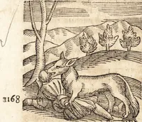 An illustration from Prodigiorvm ac ostentorvm chronicon : quae praeter naturae ordinem, motum, et operationem, et in svperioribus & his inferioribus mundi regionibus, ab exordio mundi usque ad haec nostra tempora, acciderunt ... (1557)