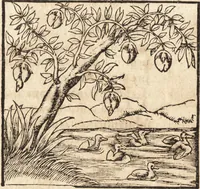 Picture 54 of 990 from Prodigiorvm ac ostentorvm chronicon : quae praeter naturae ordinem, motum, et operationem, et in svperioribus & his inferioribus mundi regionibus, ab exordio mundi usque ad haec nostra tempora, acciderunt ... (1557), leaf 43