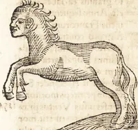 An illustration from Prodigiorvm ac ostentorvm chronicon : quae praeter naturae ordinem, motum, et operationem, et in svperioribus & his inferioribus mundi regionibus, ab exordio mundi usque ad haec nostra tempora, acciderunt ... (1557)