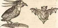 Picture 55 of 990 from Prodigiorvm ac ostentorvm chronicon : quae praeter naturae ordinem, motum, et operationem, et in svperioribus & his inferioribus mundi regionibus, ab exordio mundi usque ad haec nostra tempora, acciderunt ... (1557), leaf 45