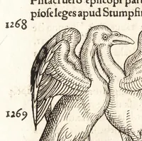 An illustration from Prodigiorvm ac ostentorvm chronicon : quae praeter naturae ordinem, motum, et operationem, et in svperioribus & his inferioribus mundi regionibus, ab exordio mundi usque ad haec nostra tempora, acciderunt ... (1557)