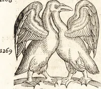 An illustration from Prodigiorvm ac ostentorvm chronicon : quae praeter naturae ordinem, motum, et operationem, et in svperioribus & his inferioribus mundi regionibus, ab exordio mundi usque ad haec nostra tempora, acciderunt ... (1557)